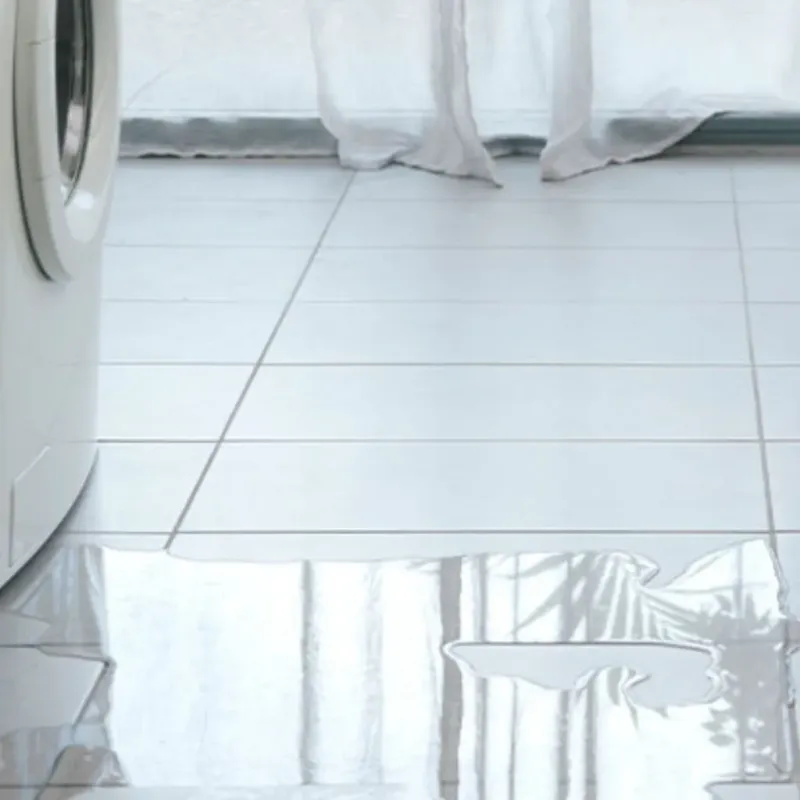 Appliance Leak Cleanup in Mount Airy, GA