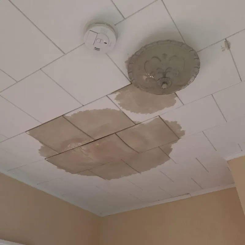 Ceiling Water Damage Repair in Mount Airy, GA