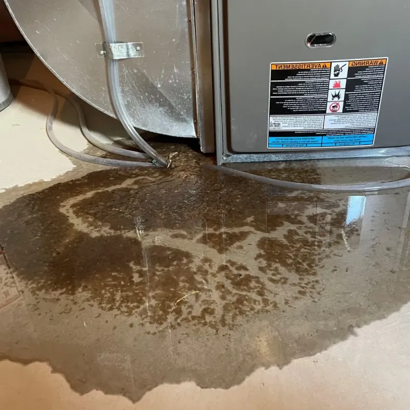 Pipe Burst and Leak Restoration in Mount Airy, GA