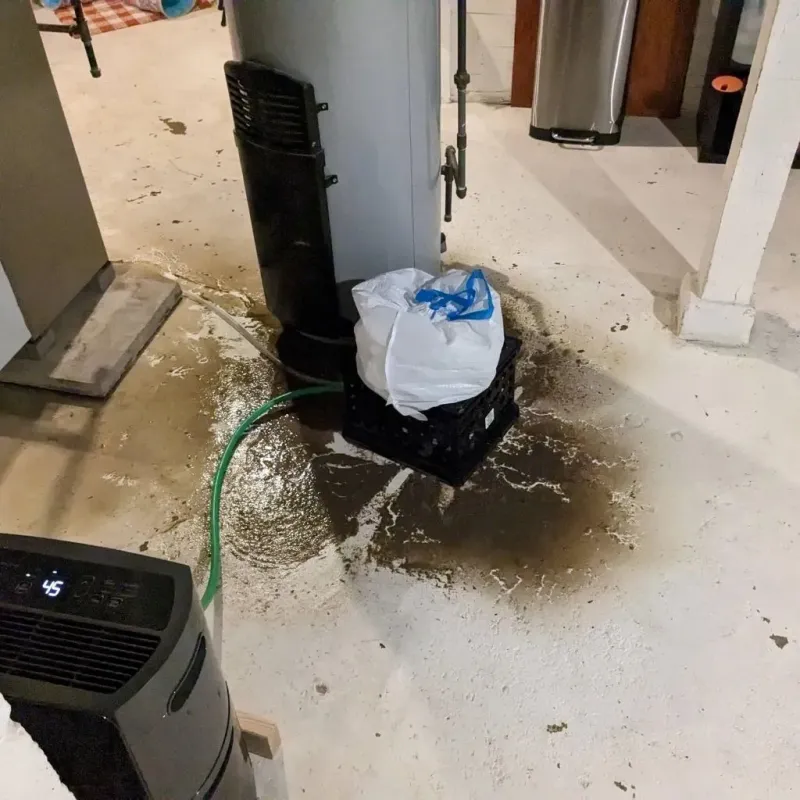 Sewage Backup Cleanup Service in Mount Airy, GA